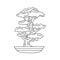 Bonsai japanese tree line vector