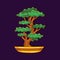 Bonsai little japanese tree vector icon