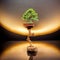 Bonsai ornamental plants in pots with beautiful wooden pillars, illuminated by stunning light rays