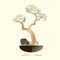 Bonsai. Pine tree in a black pot on a light pink background. Green needles, brown branches, gray stones, green grass