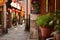 The bonsai plants placed outside a bar at the Shantang Street Suzhou,China.