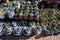 Bonsai pots selling in market