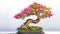 Bonsai potted landscape bougainvillea  tree