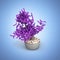 Bonsai potted tree on blue gradient background without shadow 3d