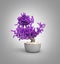 Bonsai potted tree side view on grey gradient background 3d