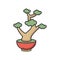 Bonsai RGB color icon. Tiny cultivated potted tree. Decorative gardening. Flowerpot with dwarf plant with foliage on