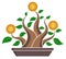 Bonsai, slow growth of the bitcoin currency