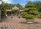 A Bonsai Topiary Tree and small ornate side gate, Imperial City, Citadel, Hue, Vietnam