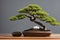 Bonsai Tree Display with Soft Background and Dramatic Silhouette