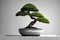 Bonsai Tree Display with Soft Background and Dramatic Silhouette