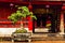 Bonsai tree in front of a red wooden buddist temple. Temple of literature. Hanoi, Vietnam - 04/02/2020