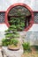 Bonsai tree in front of a white wall and traditional circular wi