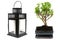 Bonsai tree and japanese candle lamp