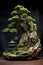 Bonsai tree Japanese gardening art.