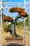 Bonsai tree with orange color chrysanthemum flowers