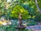 Bonsai tree section of Stellenbosch University Botanical Garden.