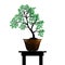 Bonsai tree silhouette on white background, Cascade style bonsai showcase, Detailed image, Vector illustration.