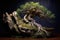 bonsai tree with twisted roots growing over an old rock