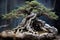 bonsai tree with twisted roots growing over an old rock