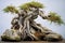 bonsai tree with twisted roots growing over an old rock