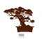 Bonsai tree. Vintage. realistic style. Detailed image, Vector illustration. Decorative arts. Mini tree in pot. Dwarf tree decorati