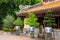 Bonsai trees on chinese temple courtyard