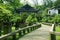 Bonsai trees at chinese traditional garden