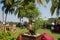 Bonsai trees in the Royal Floria Putrajaya Garden public park, Malaysia.