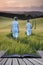 Book concept Concept landscape young boys walking through field