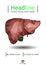 Book cover template with Realistic human liver with bile duct an