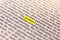 Book Highlighted Word Yellow Fluorescent Marker Paper Old Keyword Question