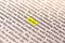 Book Highlighted Word Yellow Fluorescent Marker Paper Old Keyword Secret