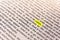 Book Highlighted Word Yellow Fluorescent Marker Paper Old Keyword Value