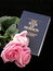 Book of mormon and roses