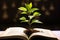 Book pages nurture a thriving green plant, a symbol of knowledge growth