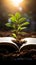 Book pages nurture a thriving green plant, a symbol of knowledge growth