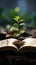 Book pages nurture a thriving green plant, a symbol of knowledge growth