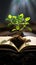 Book pages nurture a thriving green plant, a symbol of knowledge growth