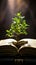 Book pages nurture a thriving green plant, a symbol of knowledge growth