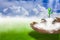 Book pile, with growing plants top, full of clouds and fog. , With a lawn and sky background