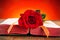 Book, red rose and the catalan flag for Sant Jordi, Saint George