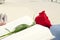 Book and red rose for Sant Jordi, Saint Georges Day, in Cataloni