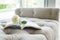 Book on sofa with white rose