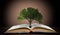 Book or tree of knowledge concept with tree growing from an open book