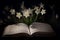 Book white daffodils flower. Generate Ai
