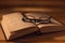 Book on a wooden table at dusk