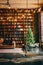 Bookcase with christmas tree lights sofa carpet swing