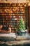 Bookcase with christmas tree lights sofa carpet swing