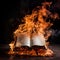 Books on fire represent a powerful and evocative symbol of knowledge, transformation, and destruction.