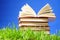 Books on grass. Educational concept.